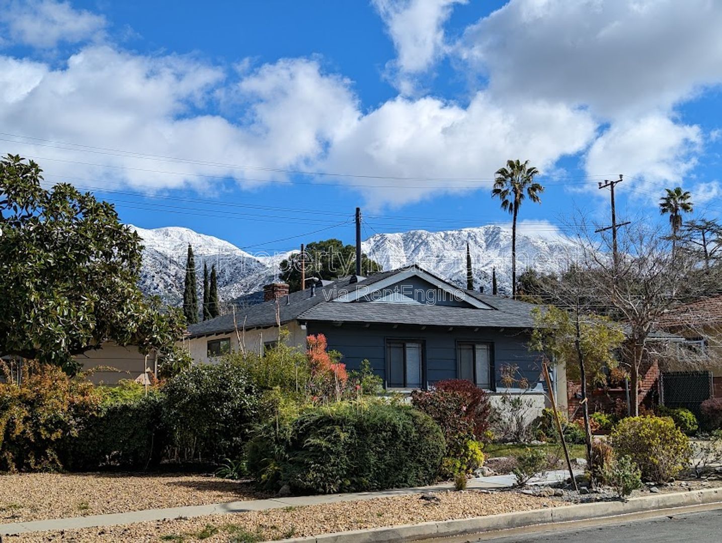 Gallery Image 18