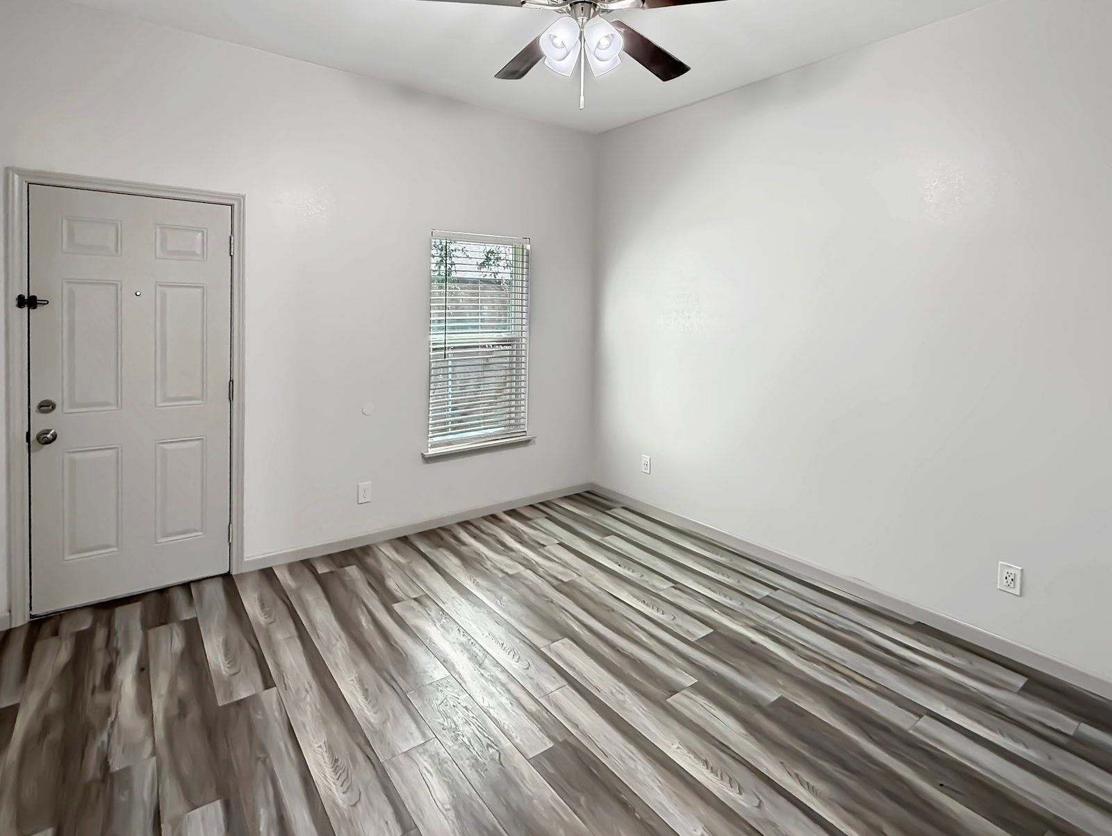 Gallery Image 8