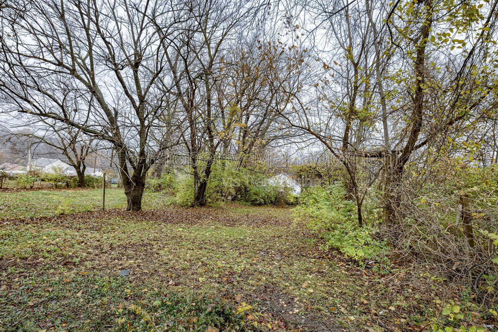 Gallery Image 18