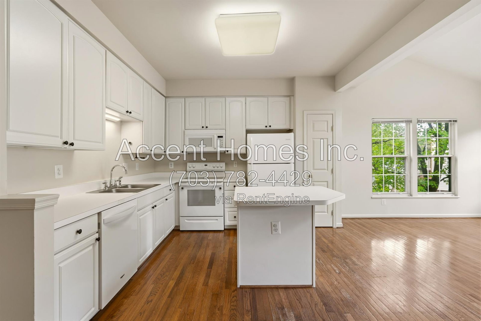 Gallery Image 7