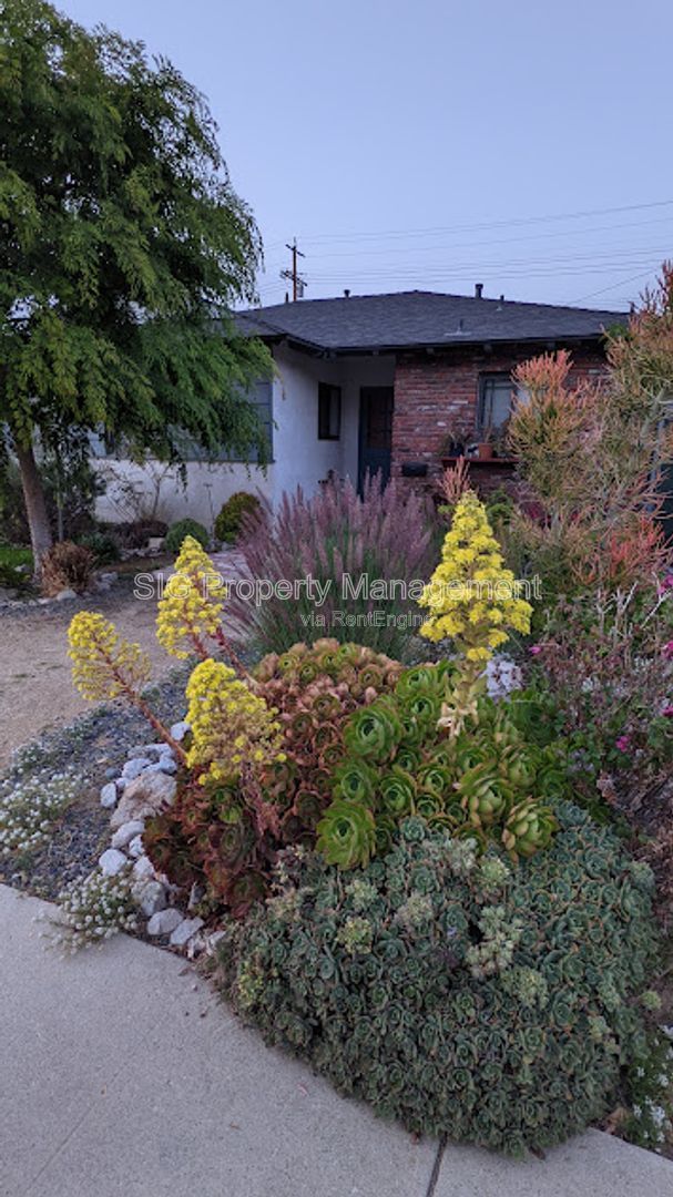 Gallery Image 67