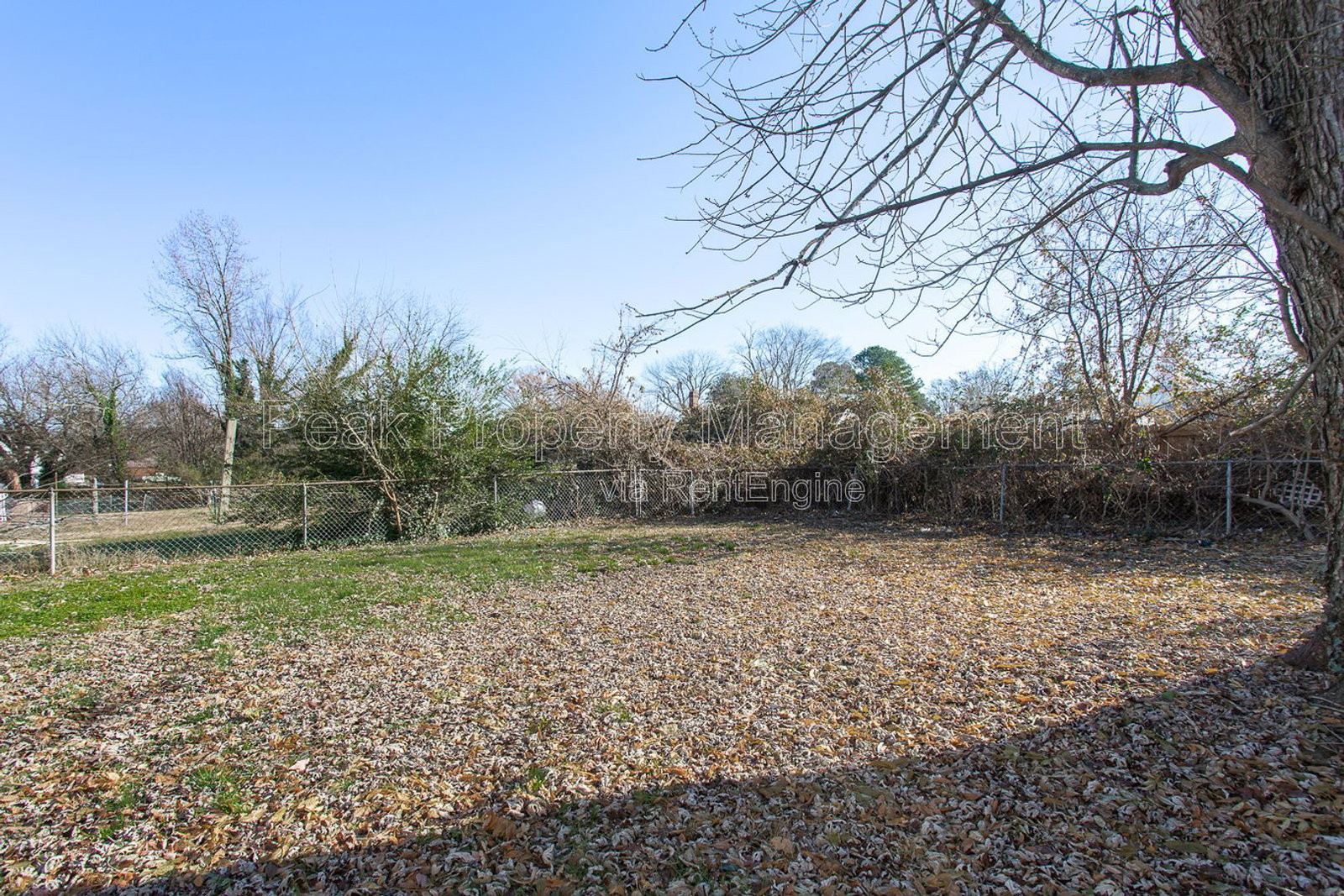 Gallery Image 14
