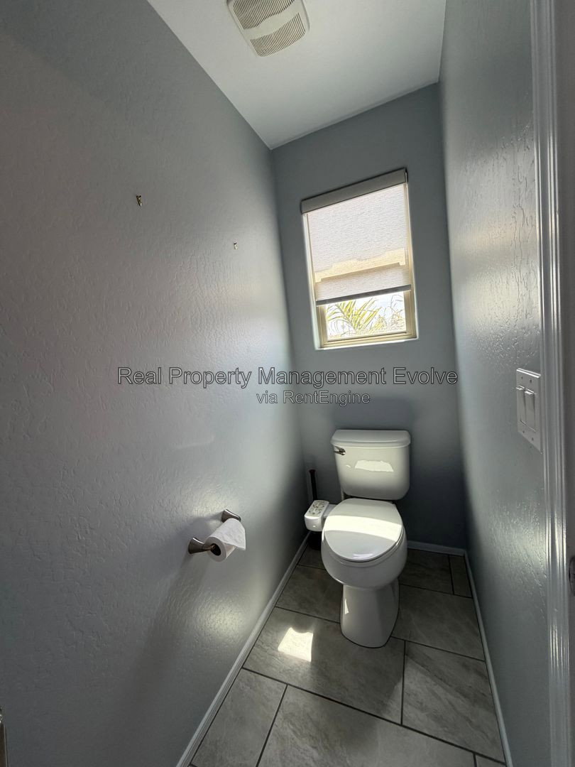 Gallery Image 41