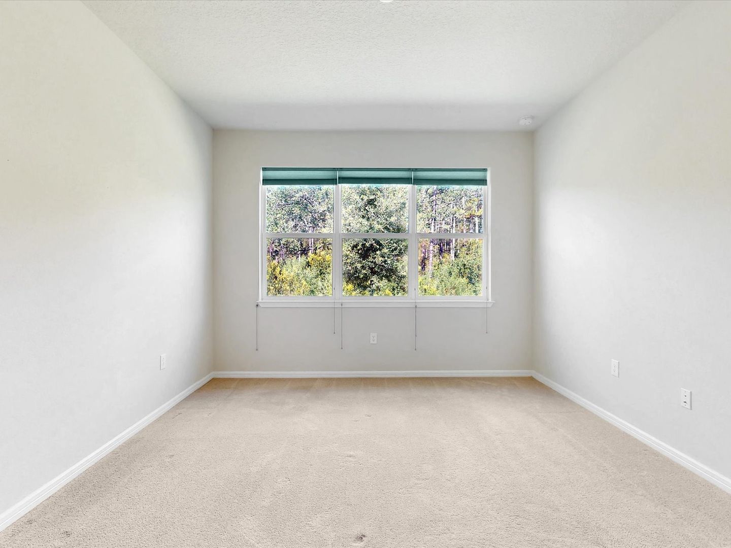 Gallery Image 19