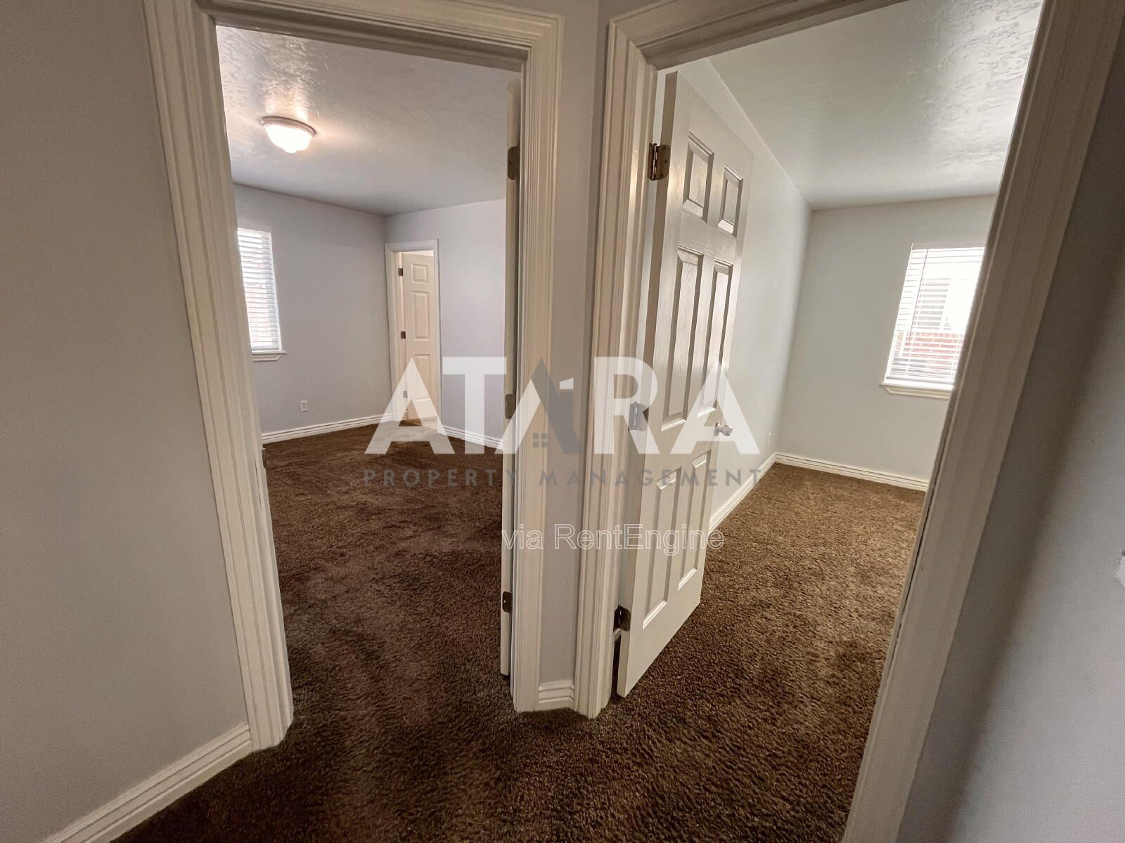 Gallery Image 19