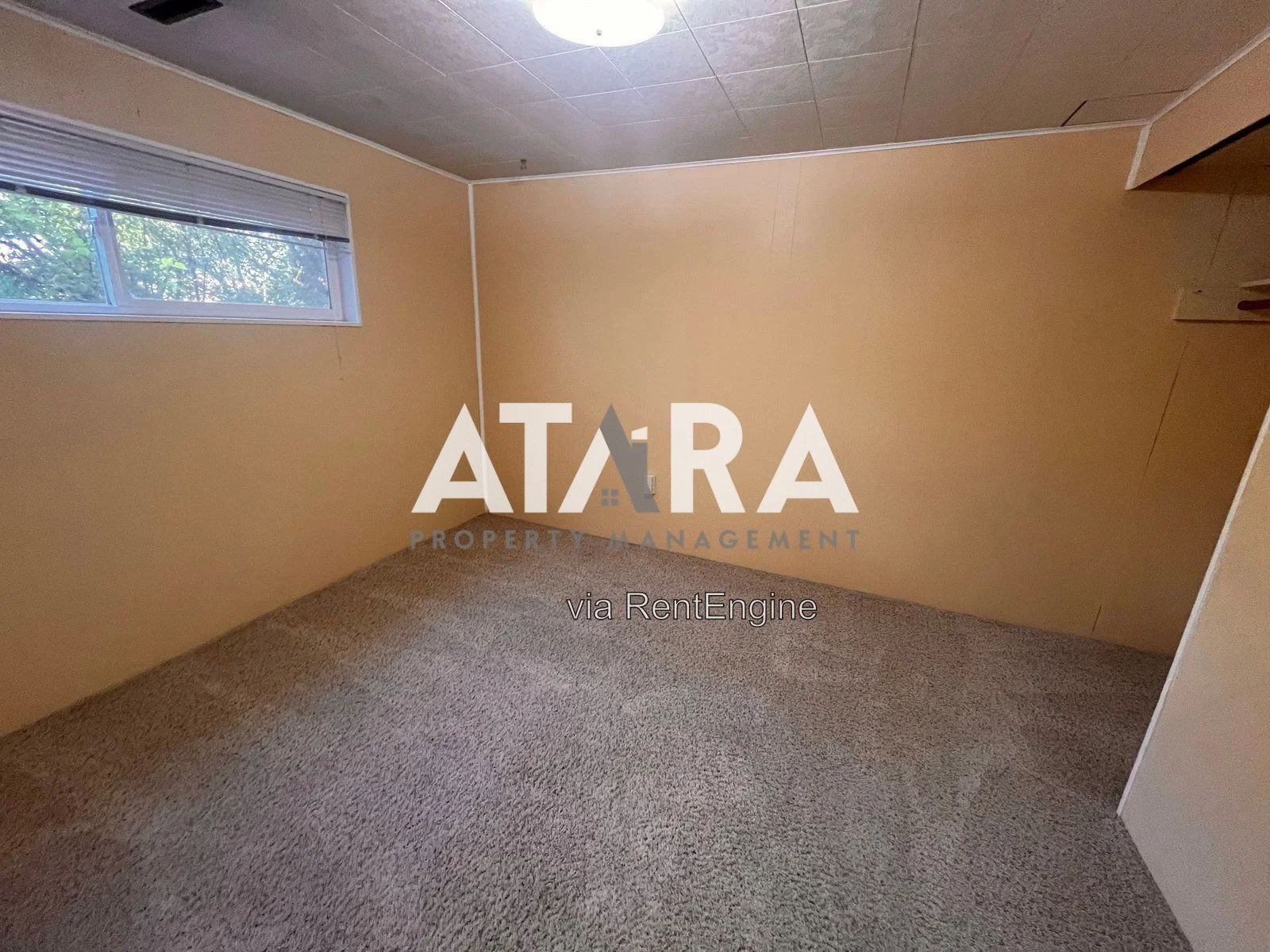 Gallery Image 17