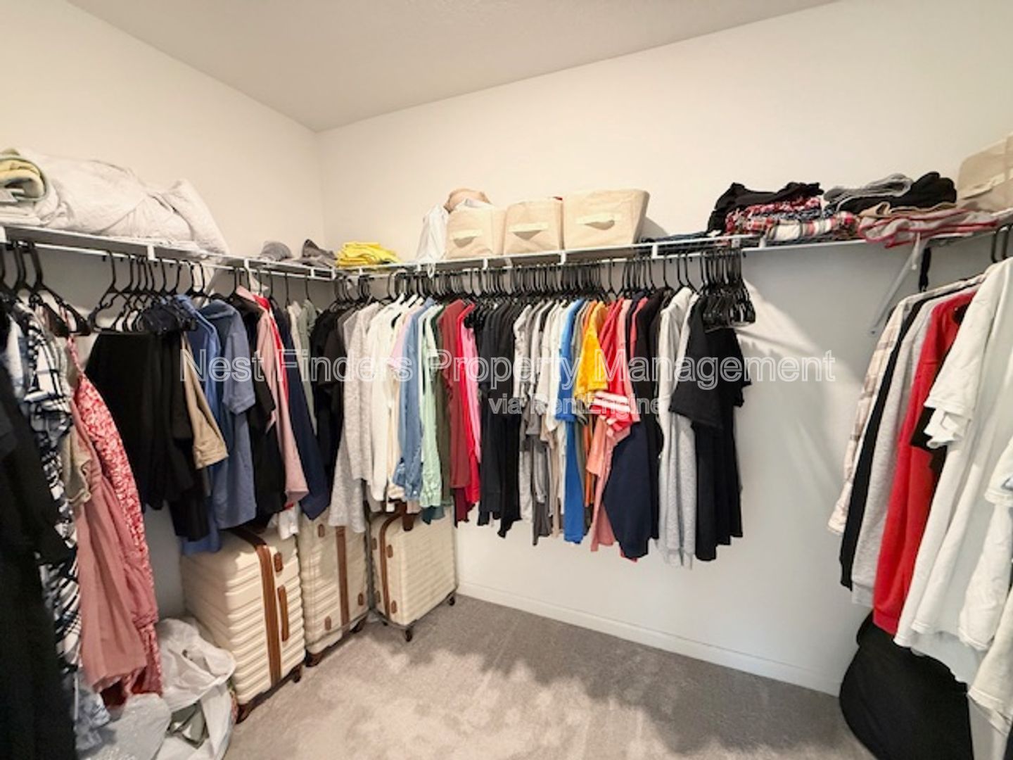 Gallery Image 23