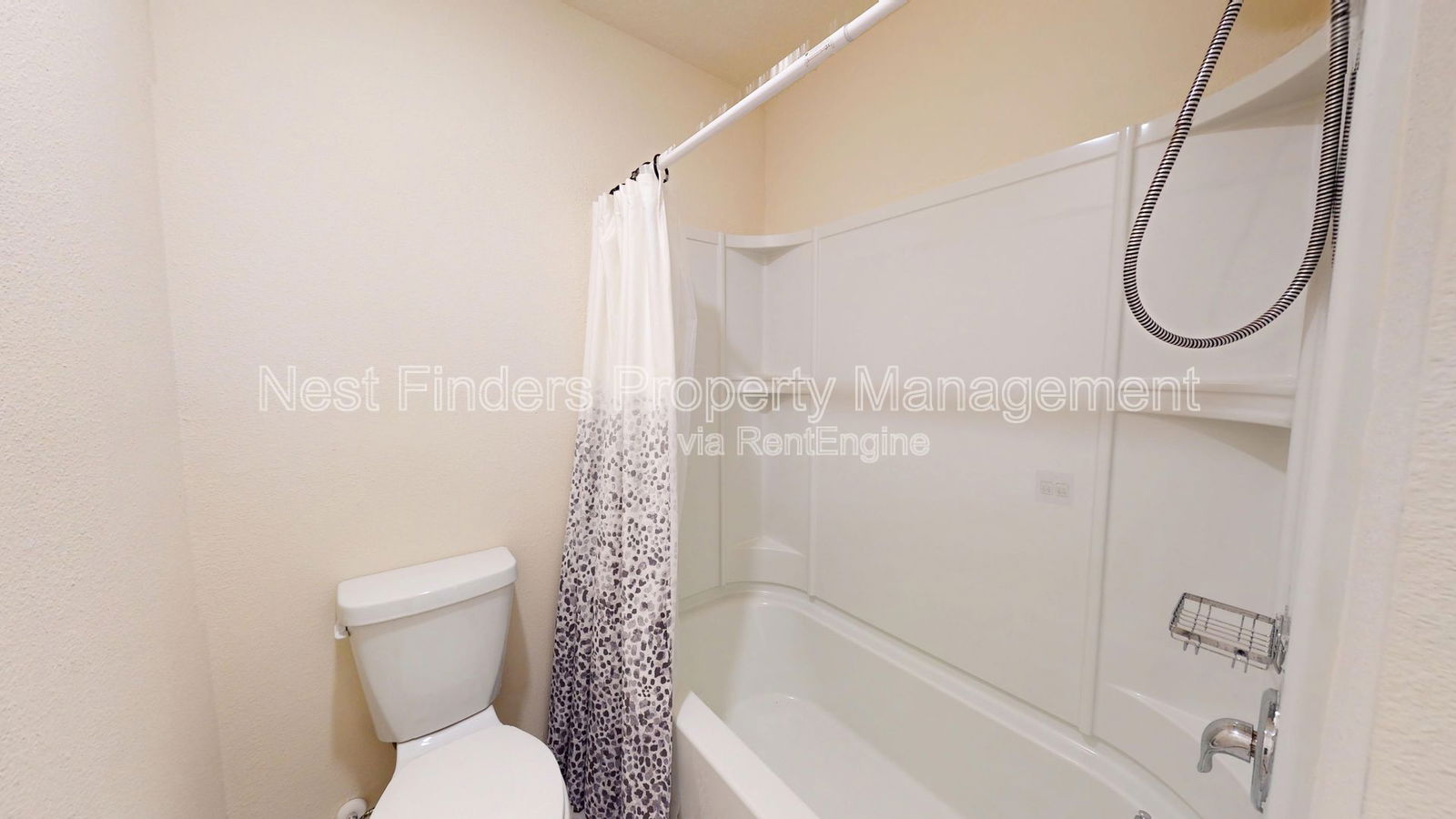 Gallery Image 16