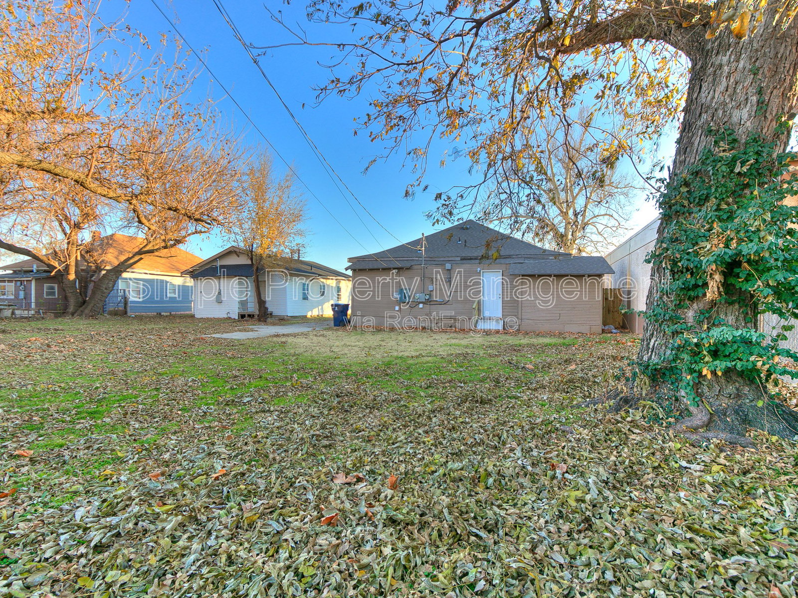 Gallery Image 14