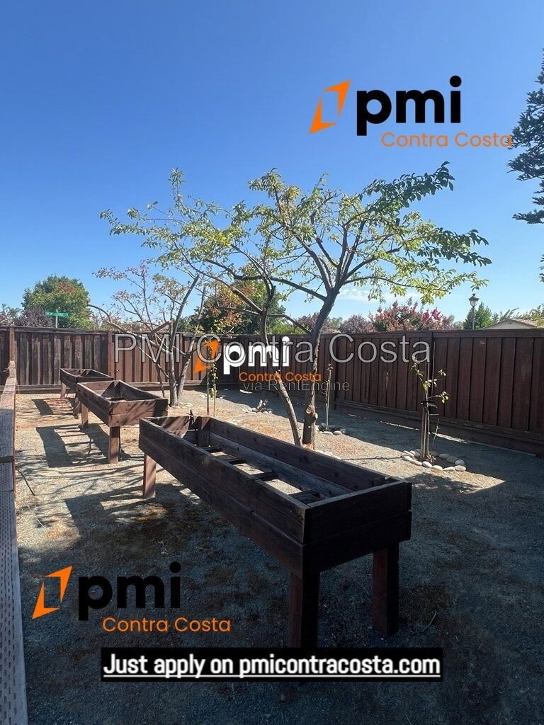 Gallery Image 56