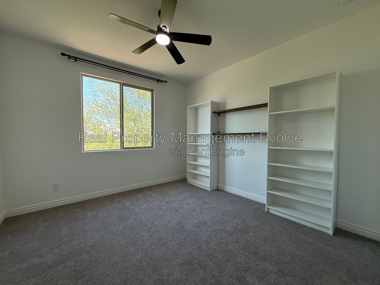 Gallery Image 37