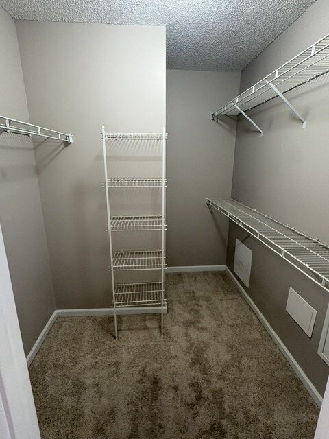 Gallery Image 21