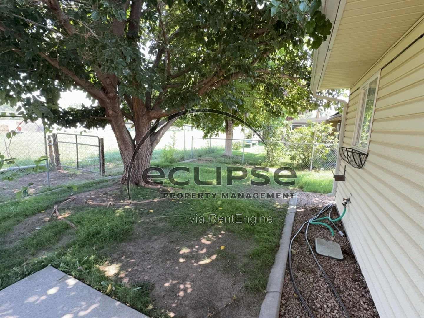 Gallery Image 38