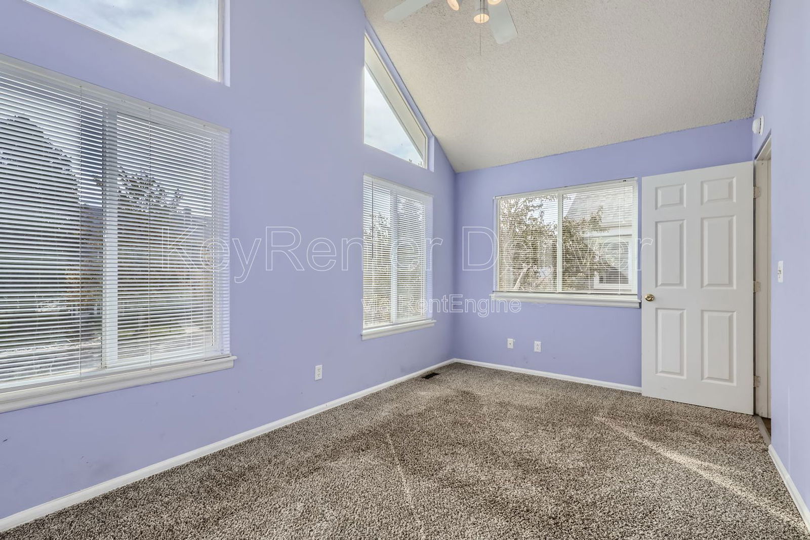 Gallery Image 19