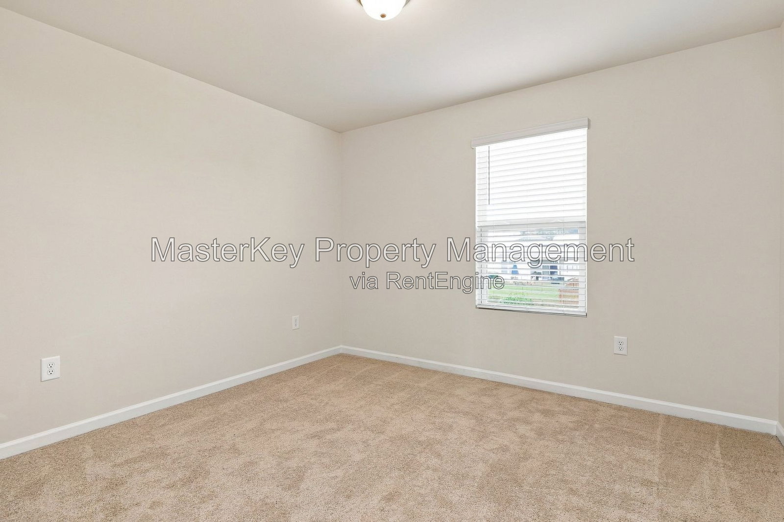 Gallery Image 35