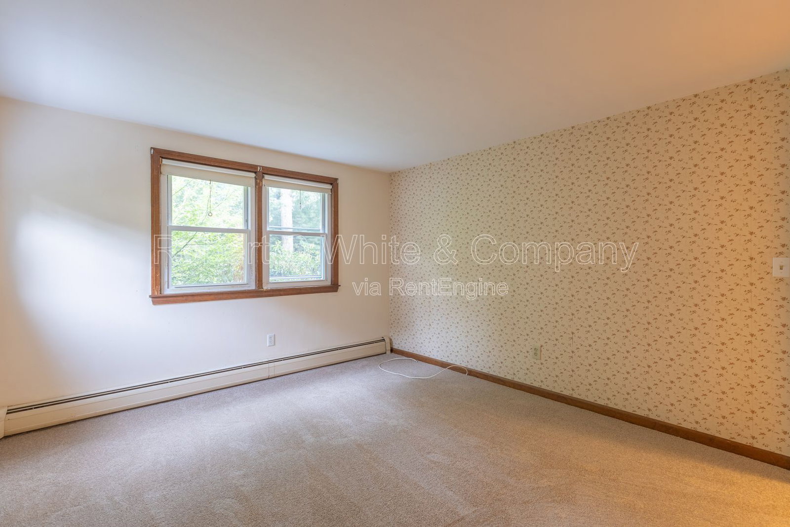 Gallery Image 19