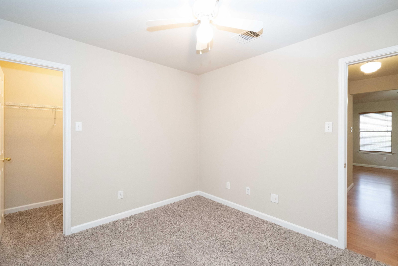 Gallery Image 41