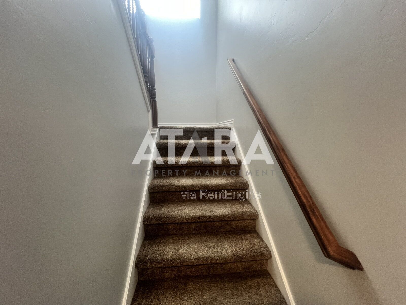 Gallery Image 21