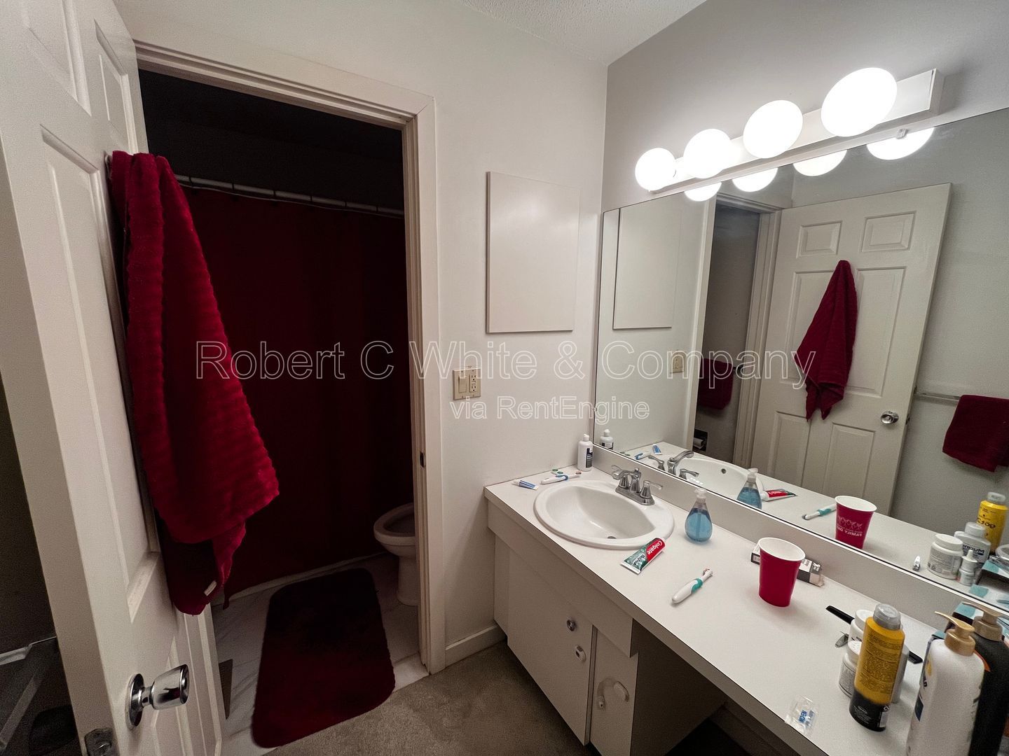 Gallery Image 17