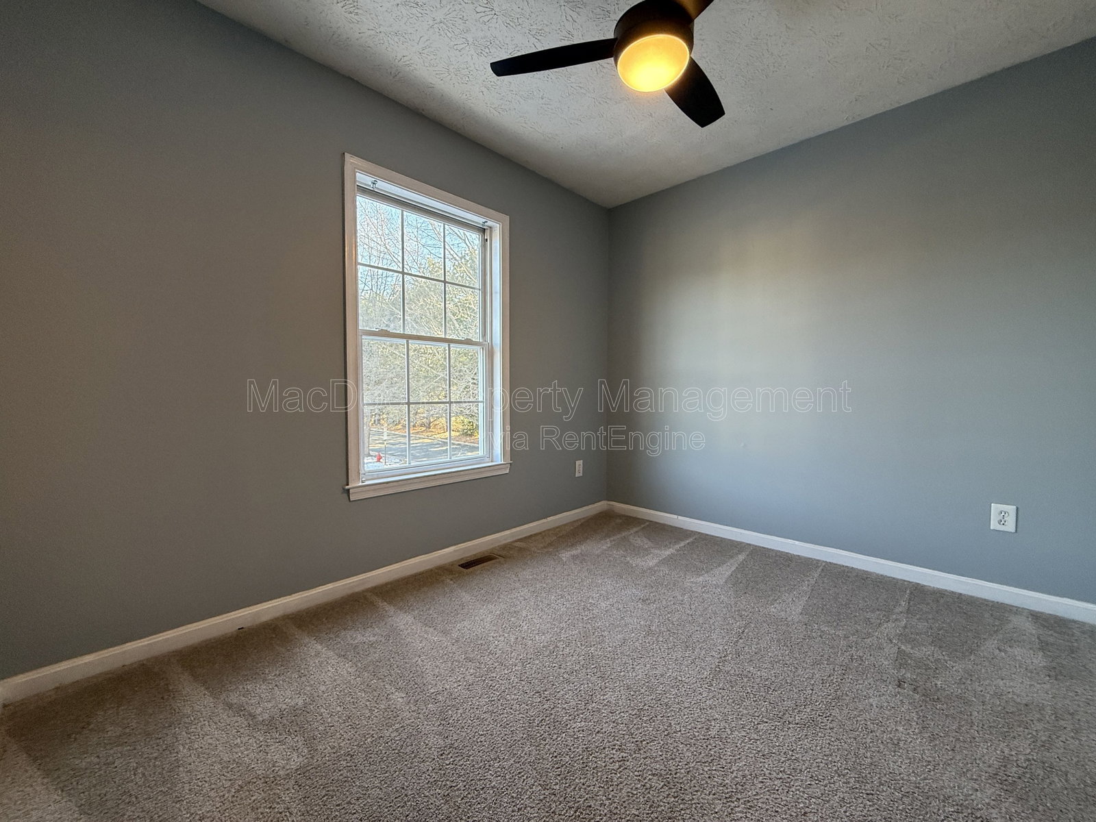 Gallery Image 20