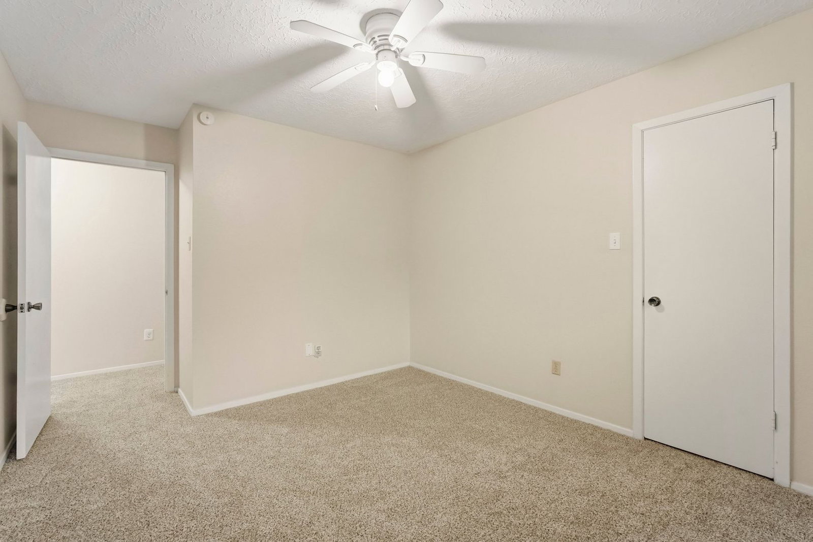 Gallery Image 17