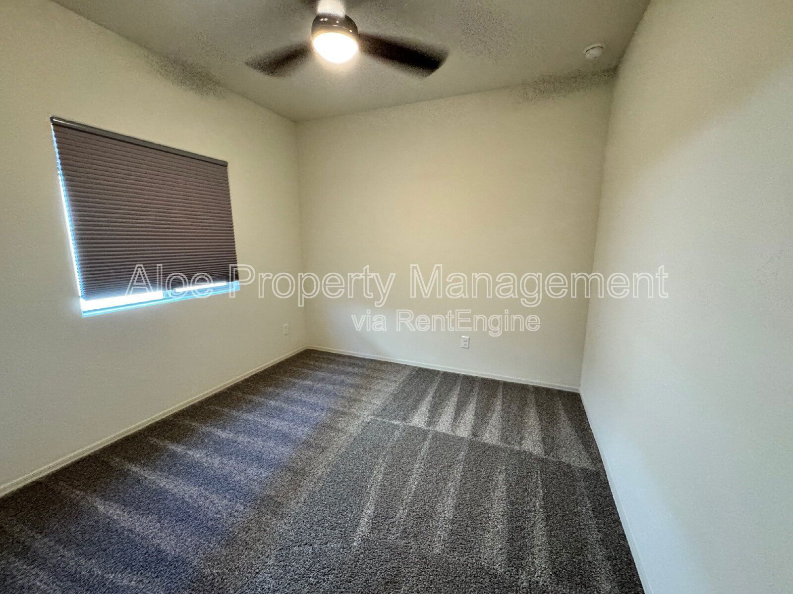 Gallery Image 19