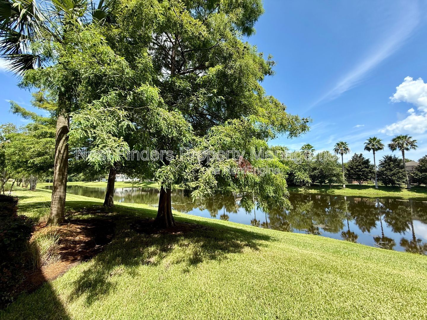 Gallery Image 35