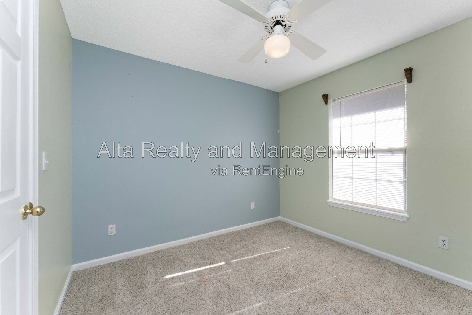 Gallery Image 18