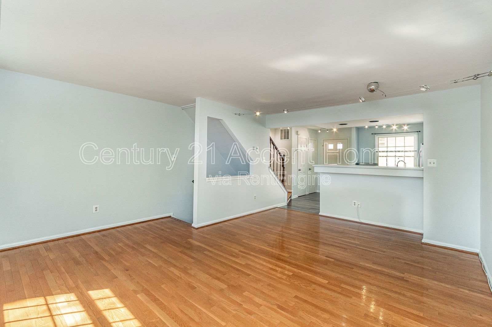 Gallery Image 7