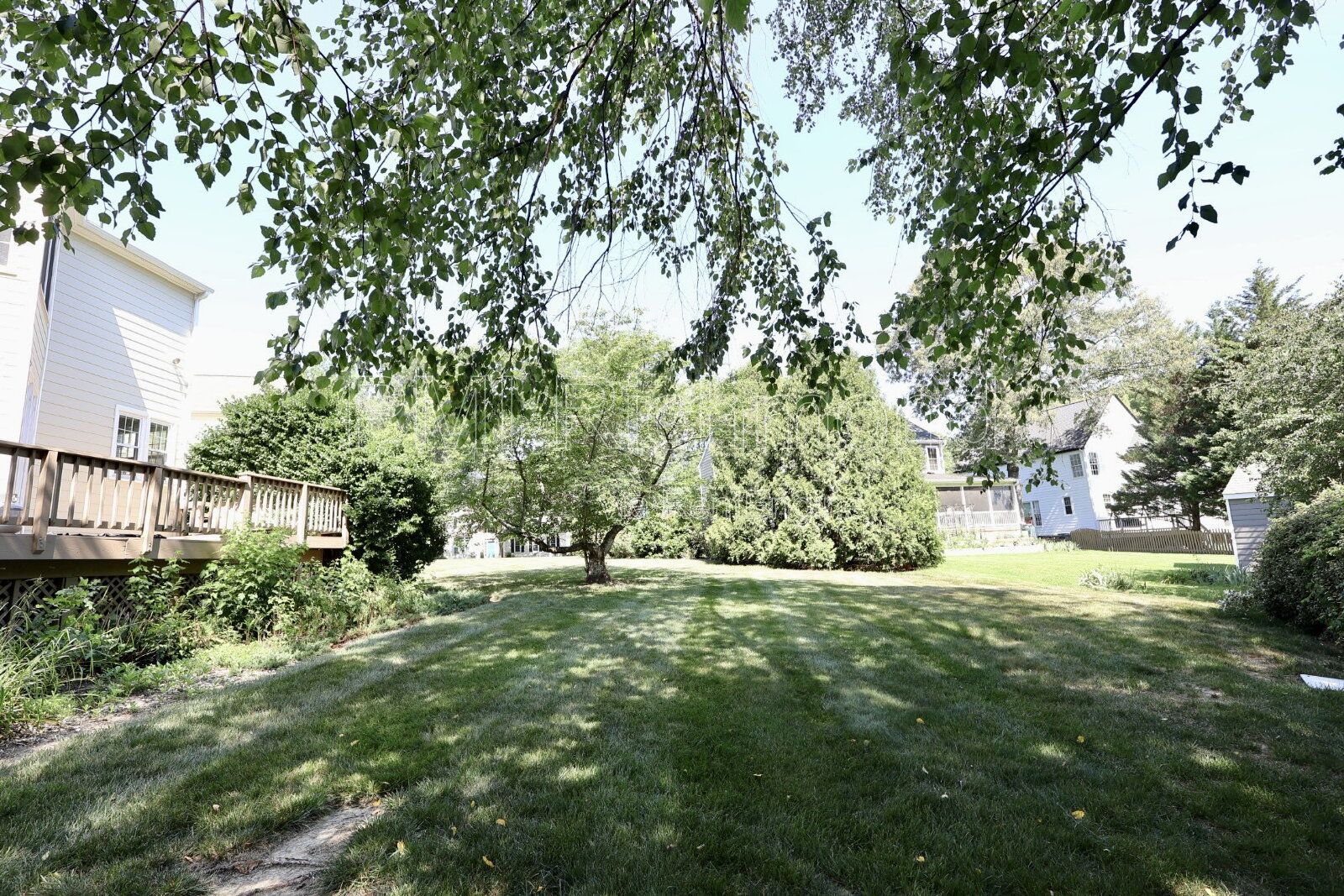 Gallery Image 42