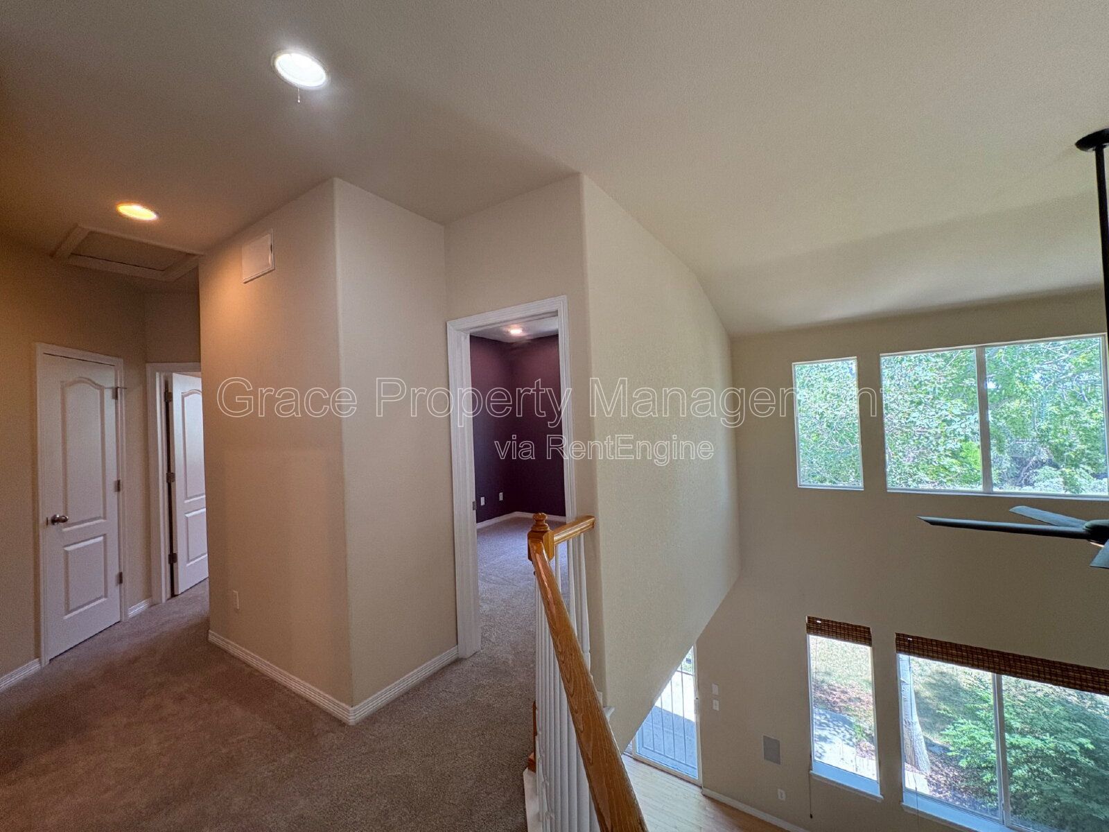 Gallery Image 20