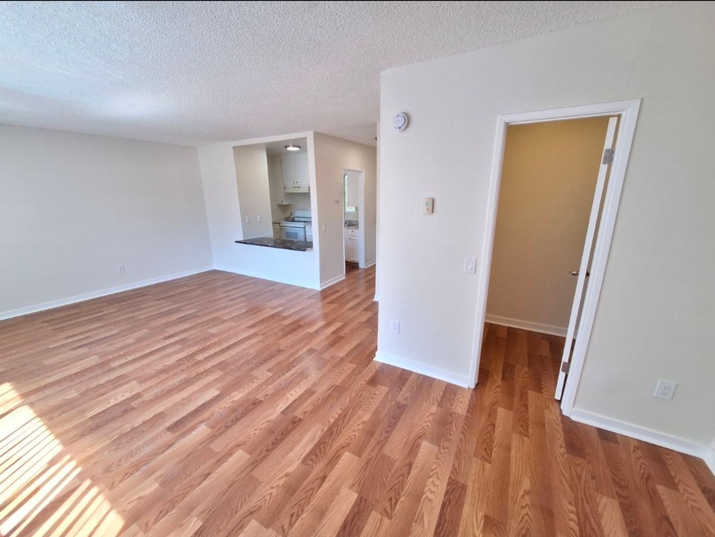 Gallery Image 0