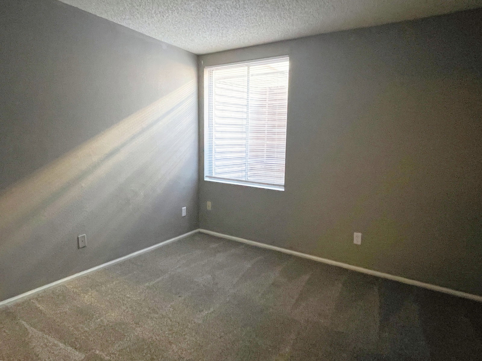 Gallery Image 19