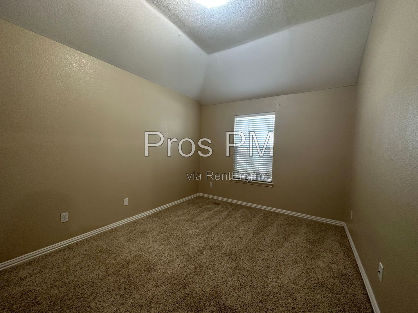 Gallery Image 20