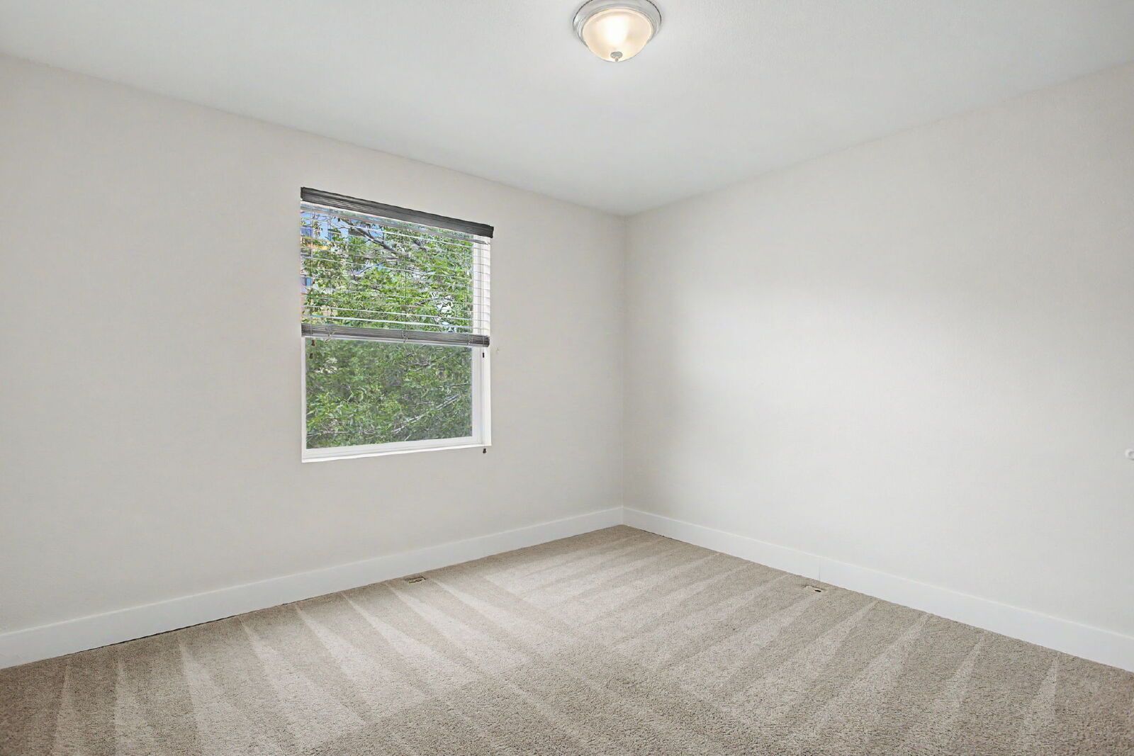 Gallery Image 36