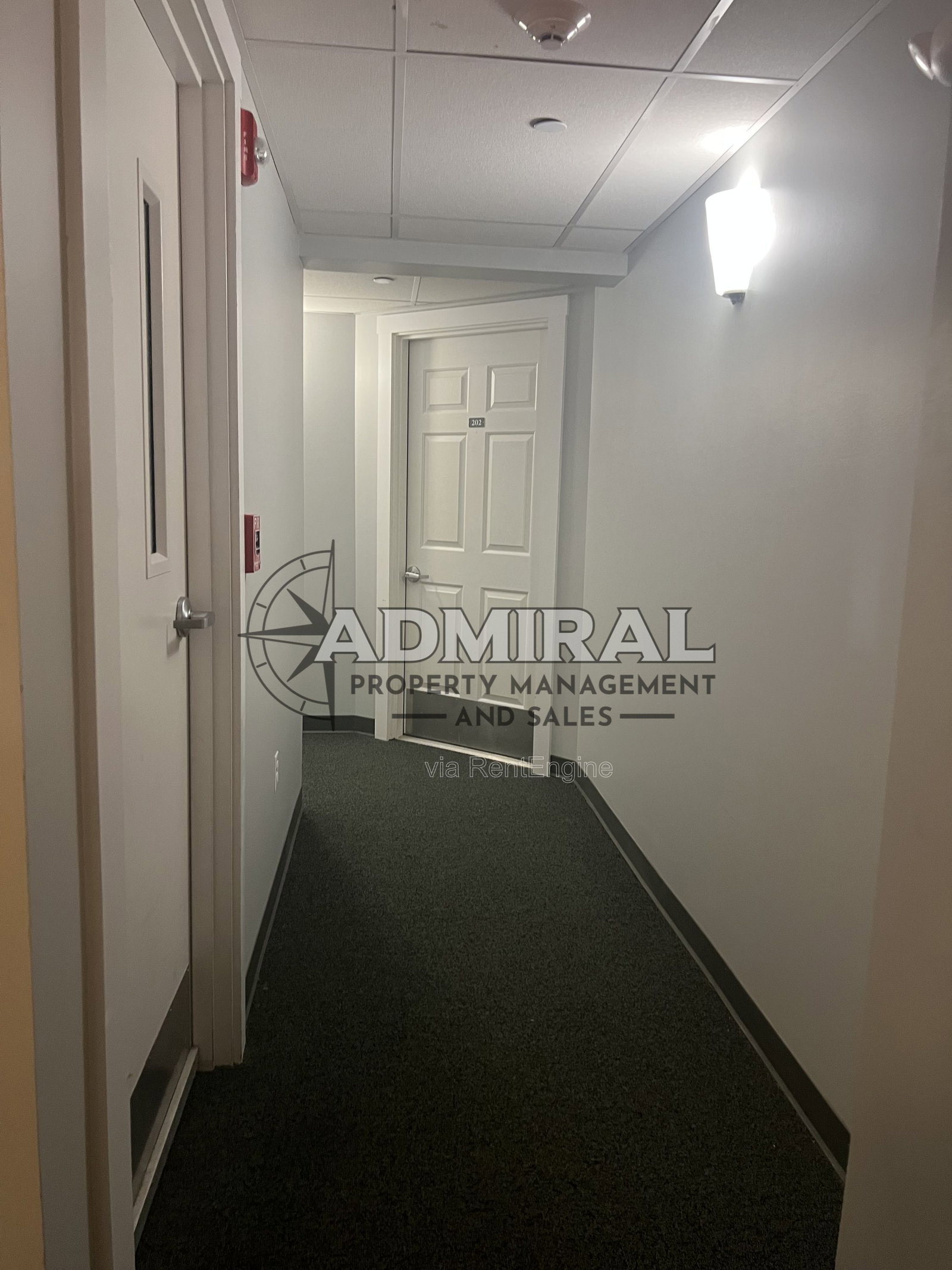 Gallery Image 11