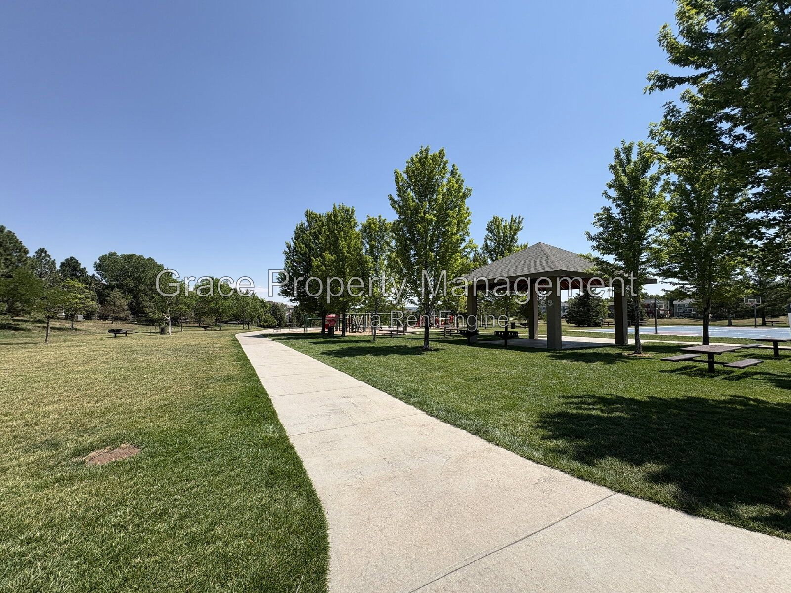 Gallery Image 21