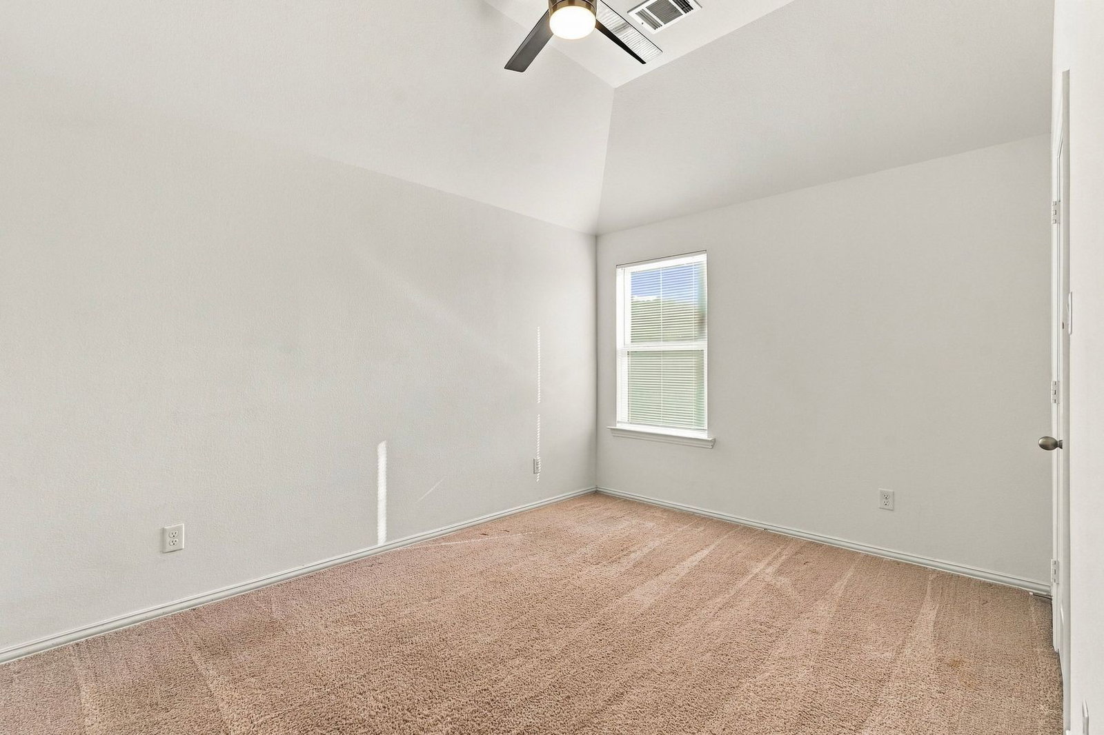 Gallery Image 19