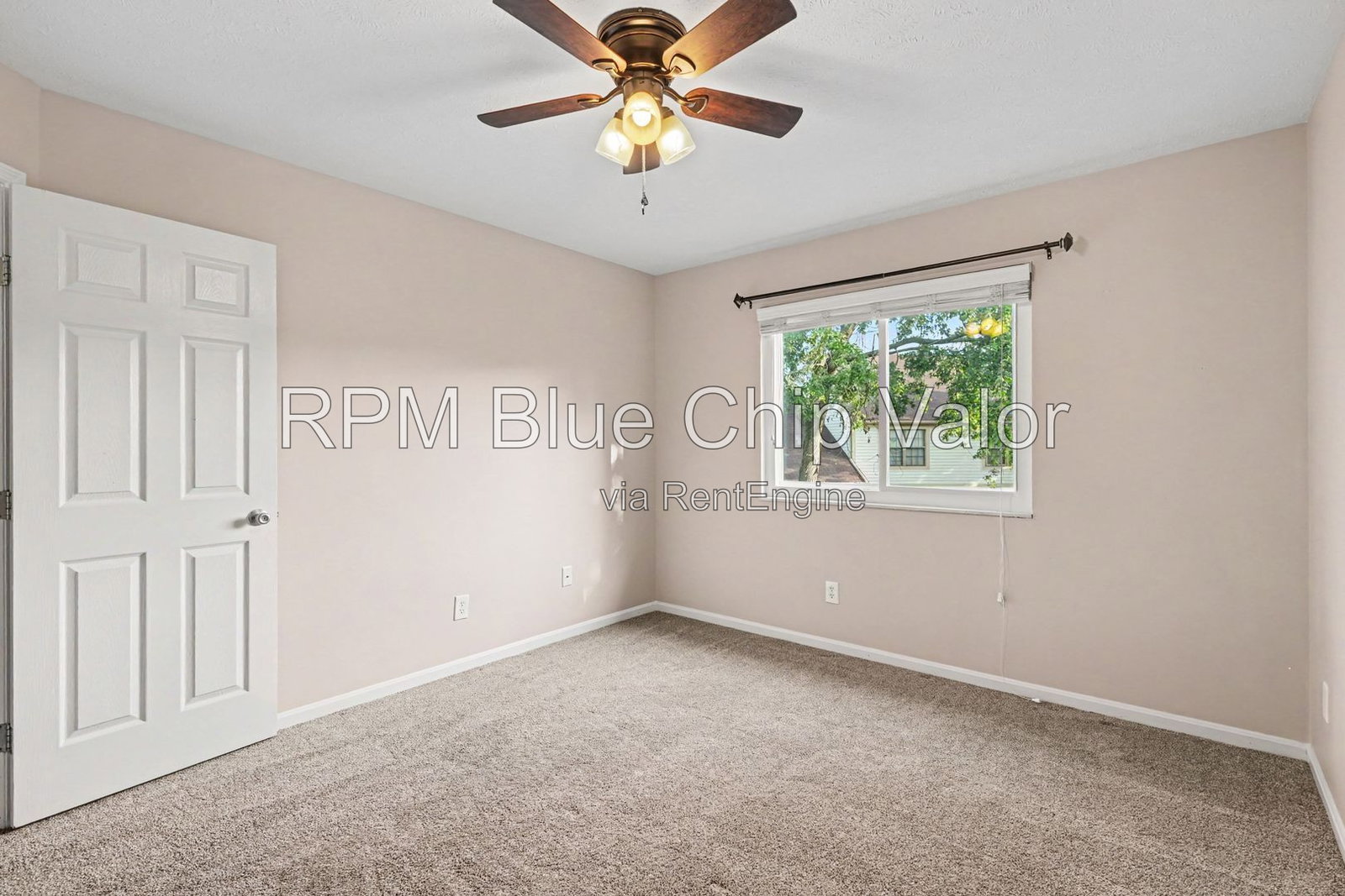 Gallery Image 19