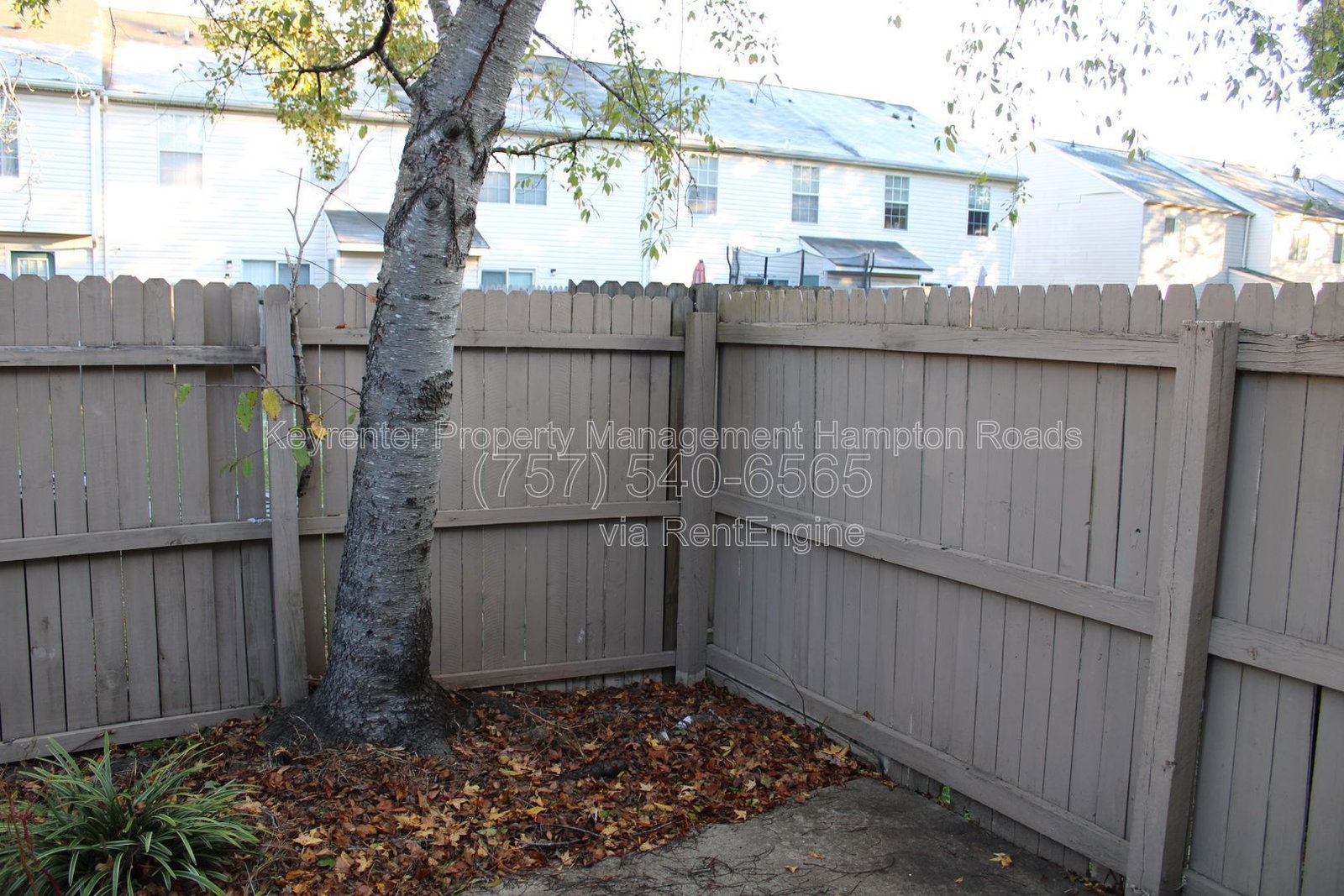 Gallery Image 38