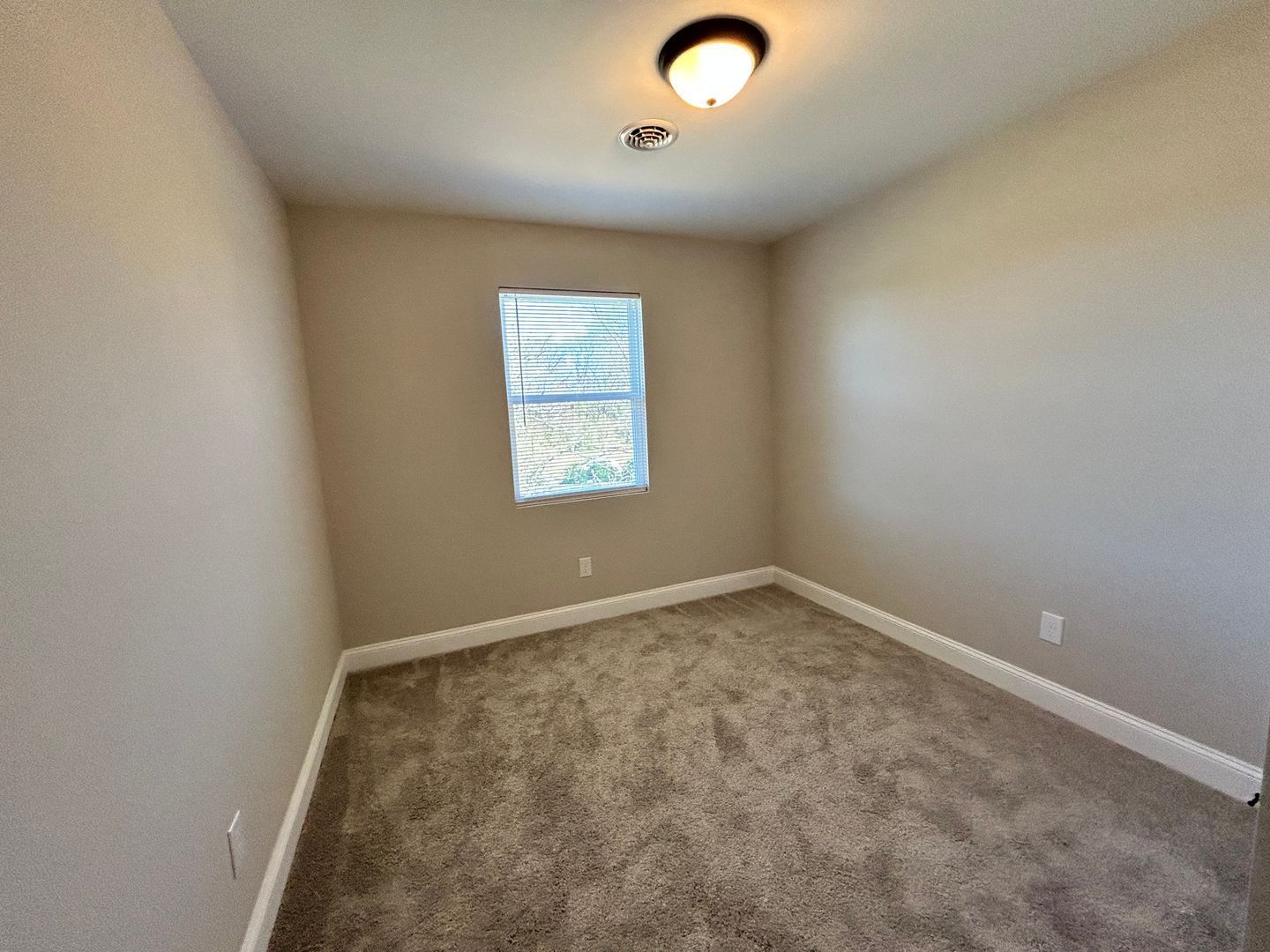 Gallery Image 19