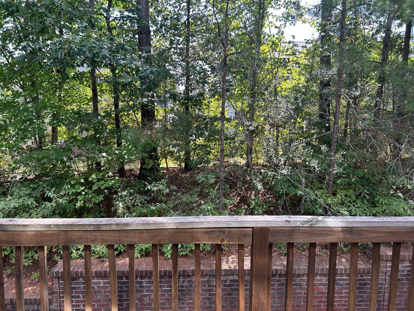 Gallery Image 17
