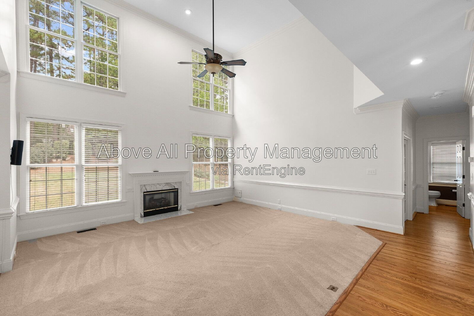 Gallery Image 16