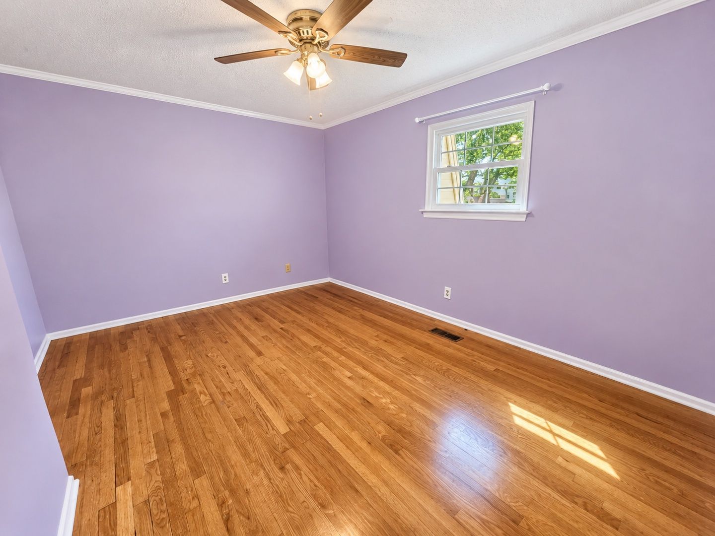 Gallery Image 8