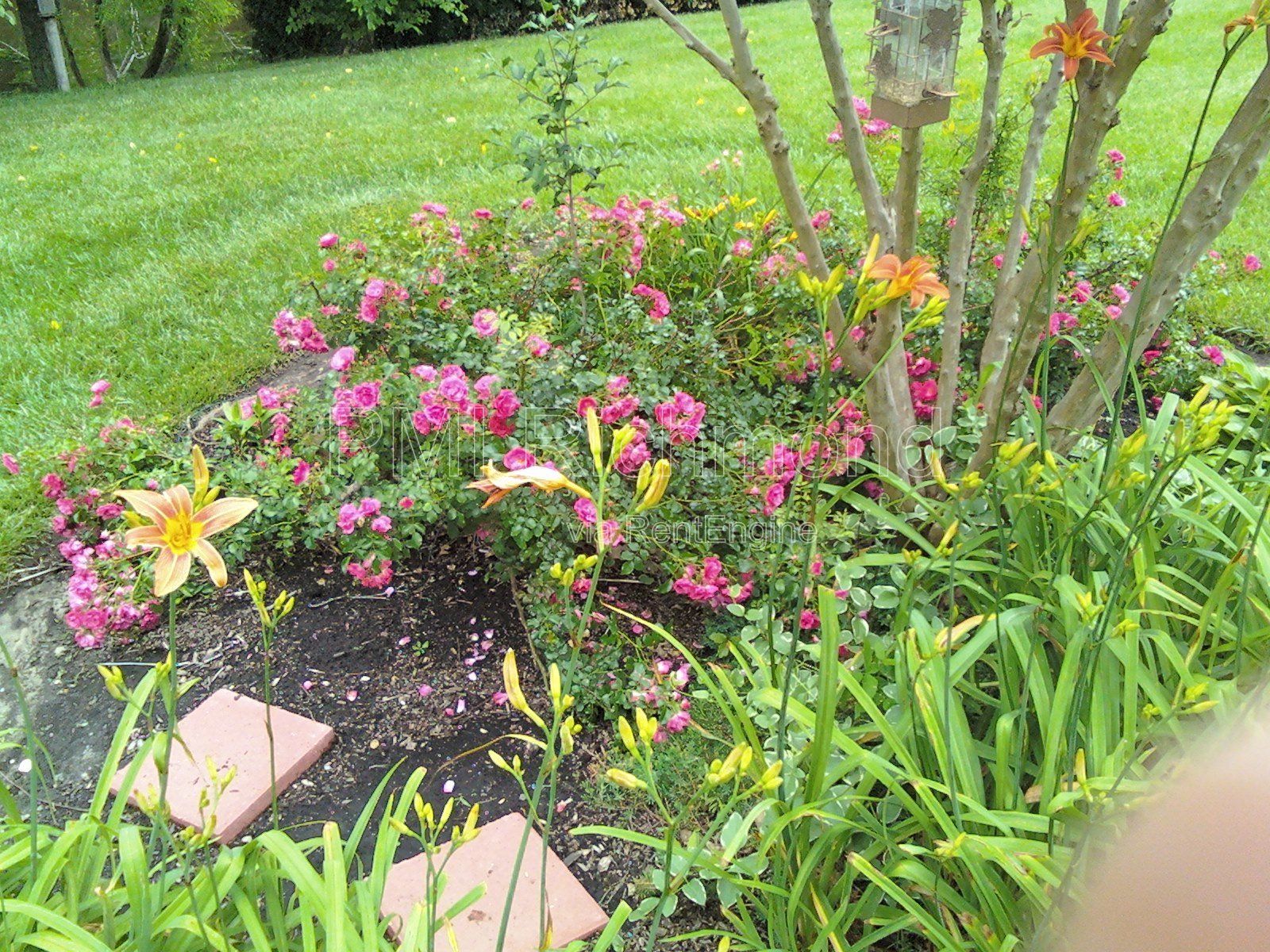 Gallery Image 24