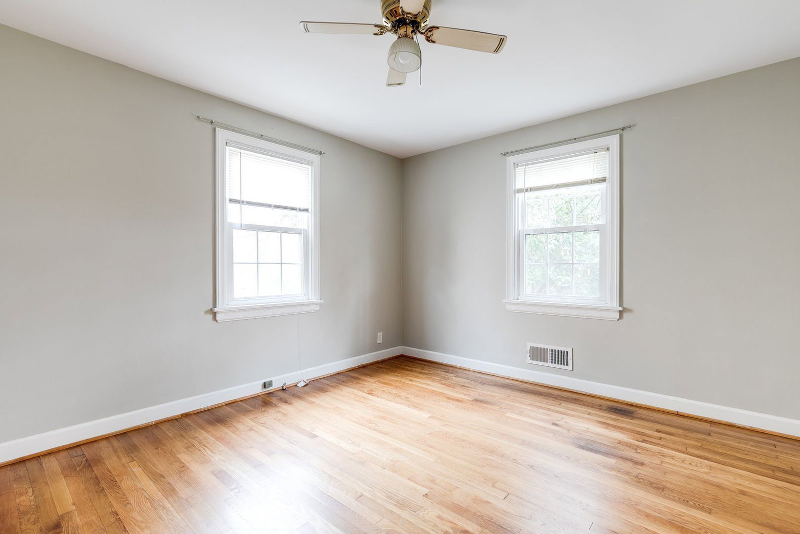 Gallery Image 19