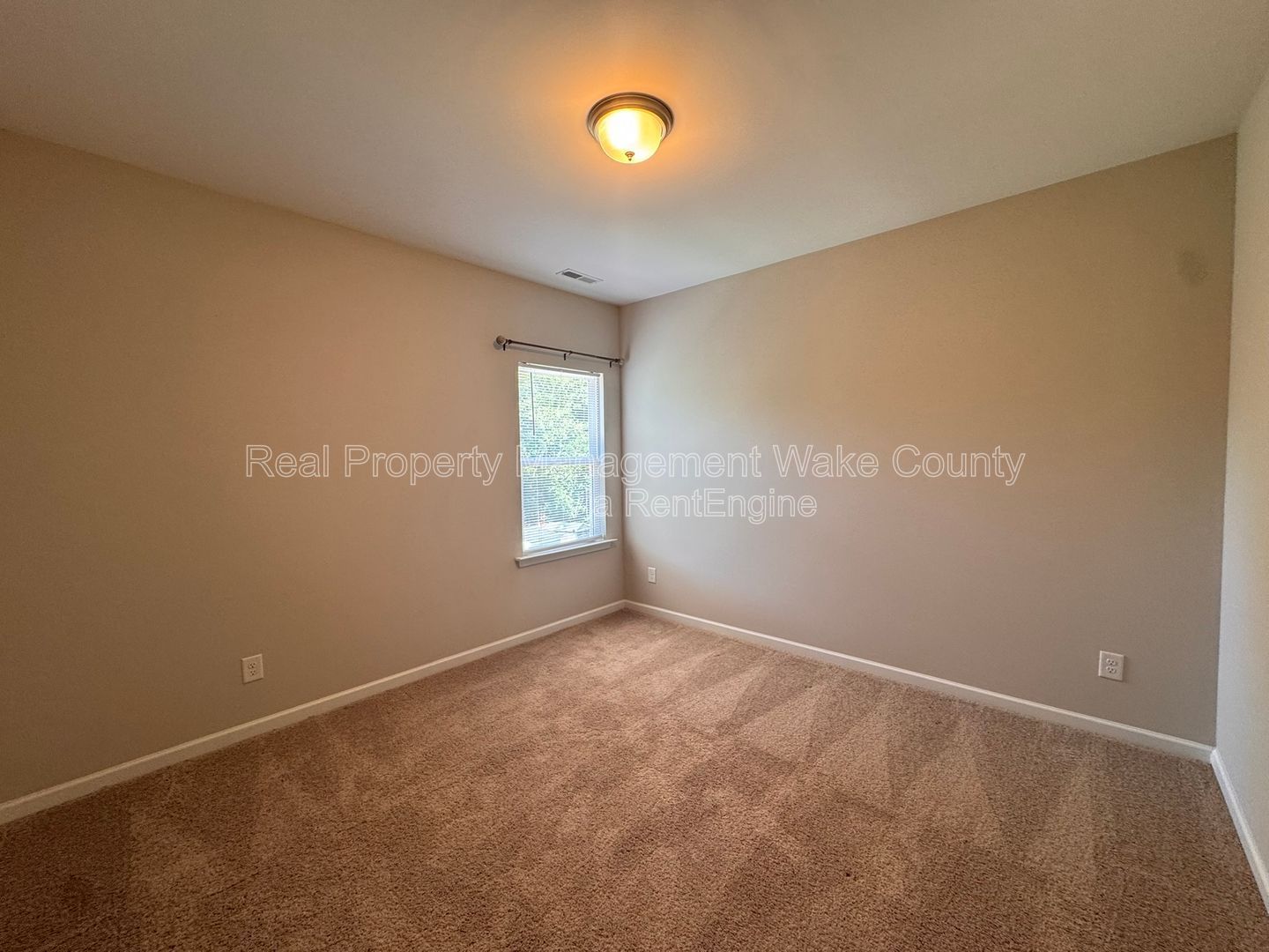 Gallery Image 19