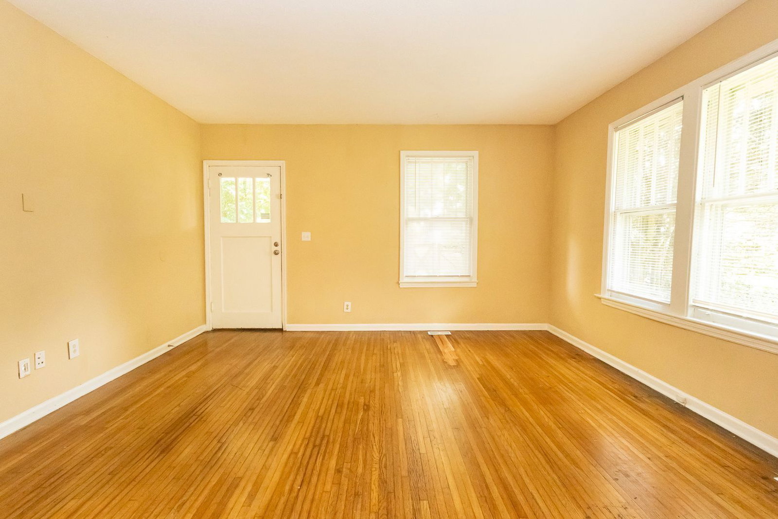 Gallery Image 8