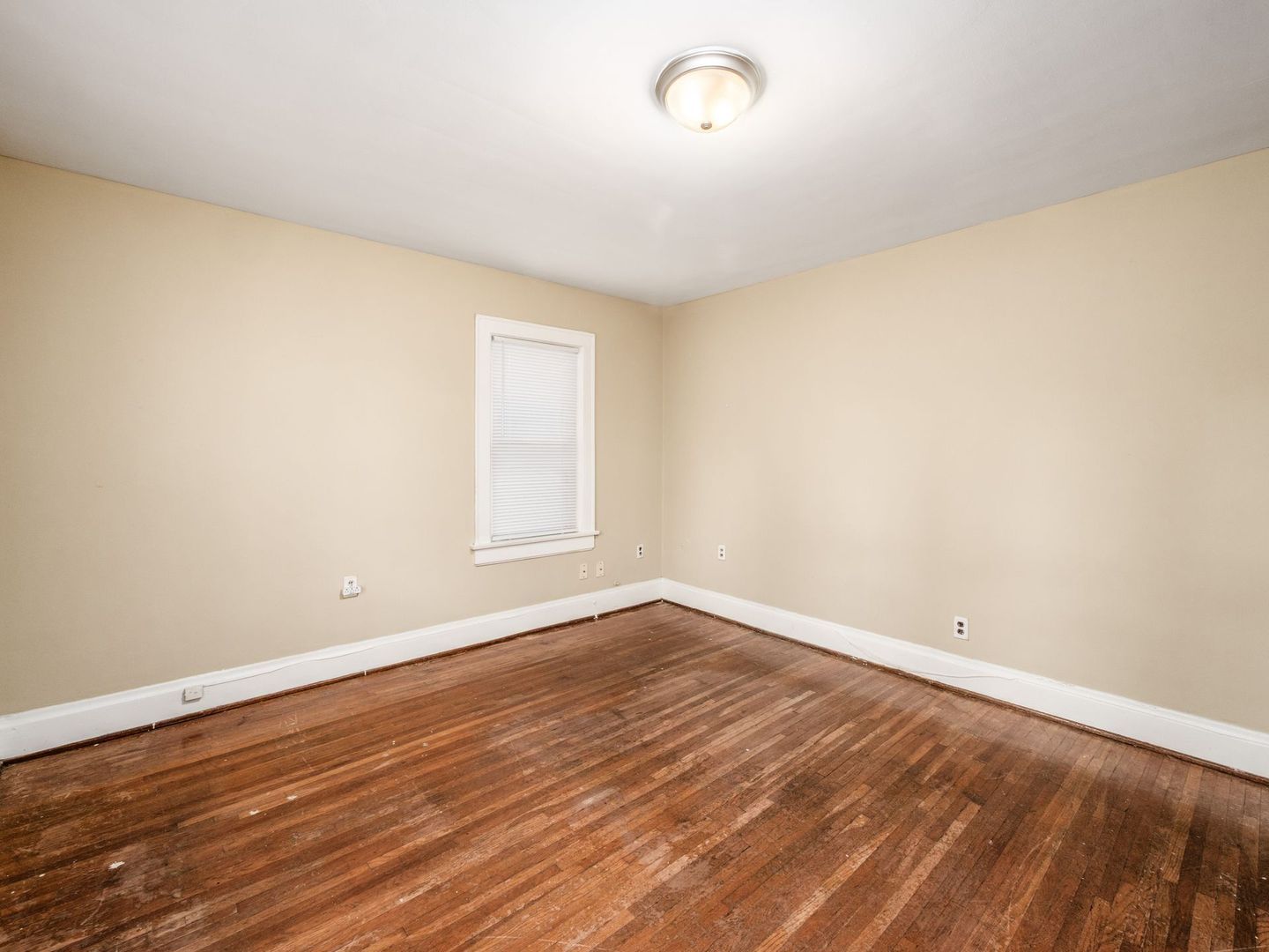 Gallery Image 16