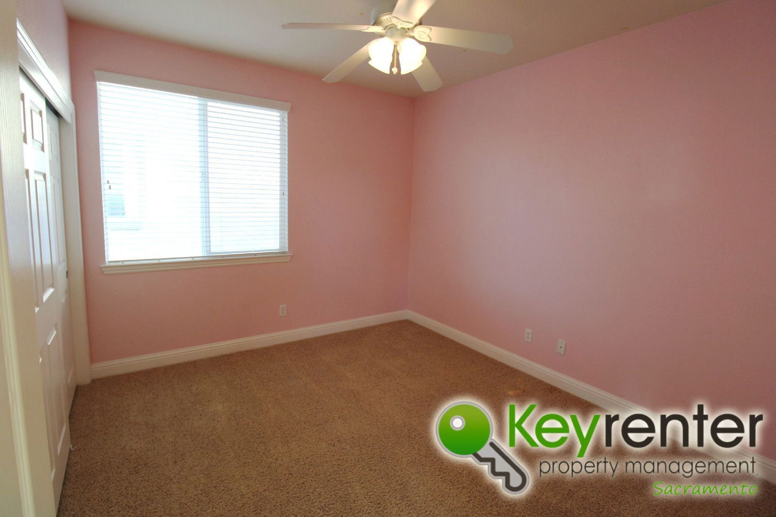 Gallery Image 33